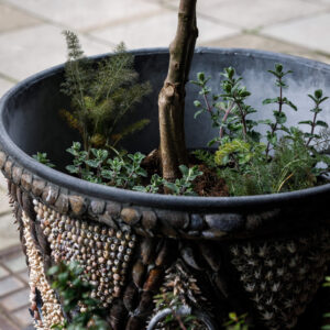 Trellis Shell Planter (Small) - Image 4